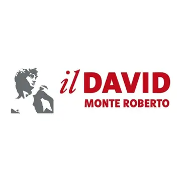 Il David Monte Roberto